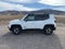 2021 Jeep Renegade Trailhawk