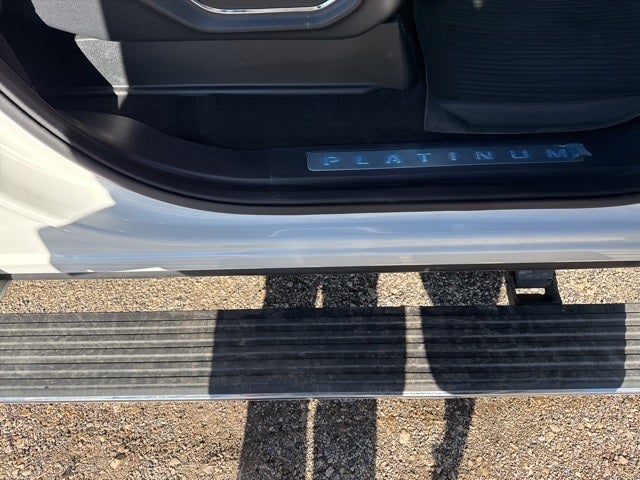 2024 Ford Expedition Platinum