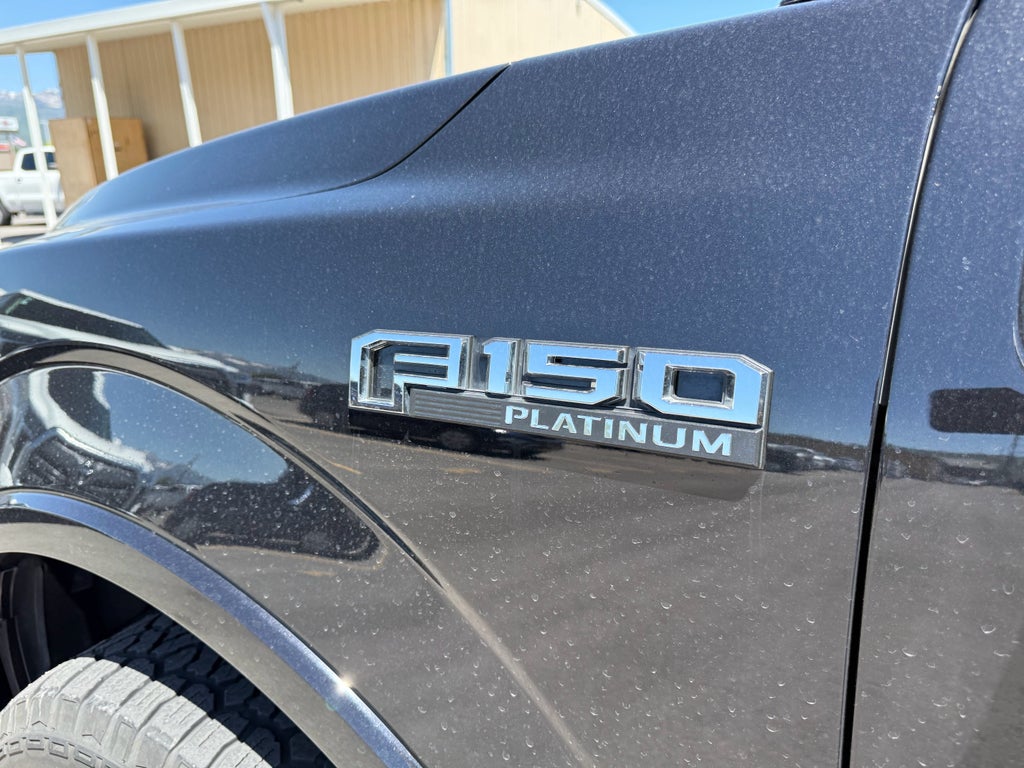 2020 Ford F-150 Platinum