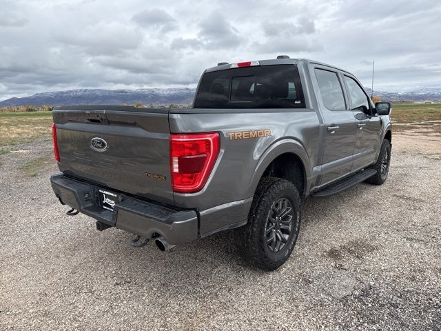 2023 Ford F-150 Tremor