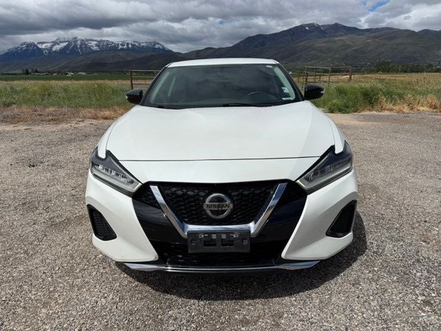2019 Nissan Maxima 3.5 SV