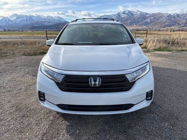 2024 Honda Odyssey Elite