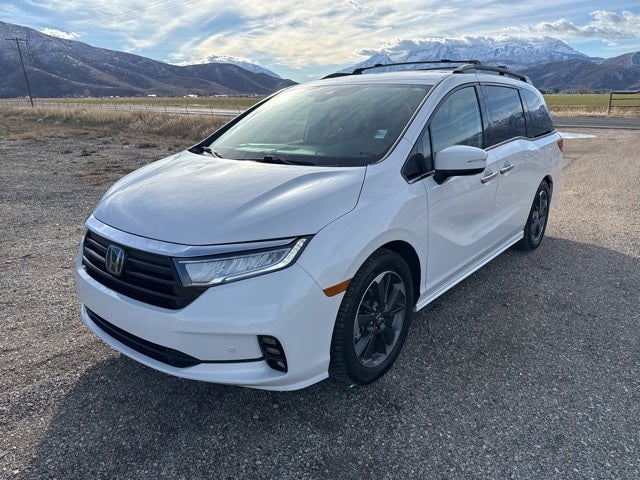 2024 Honda Odyssey Elite