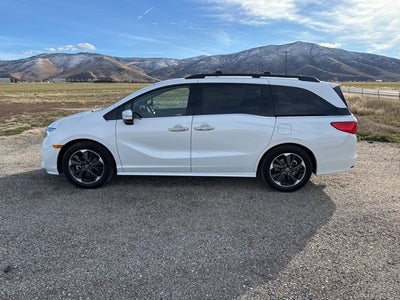 2024 Honda Odyssey Elite