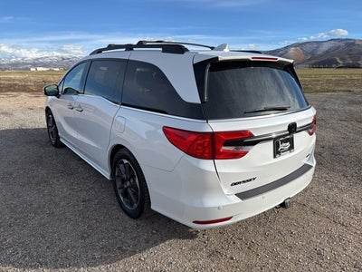 2024 Honda Odyssey Elite