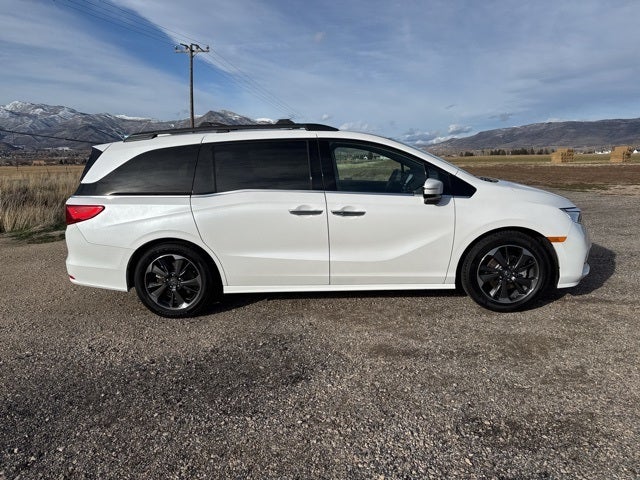 2024 Honda Odyssey Elite