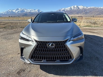 2024 Lexus NX 350 Premium