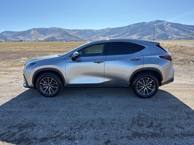2024 Lexus NX 350 Premium