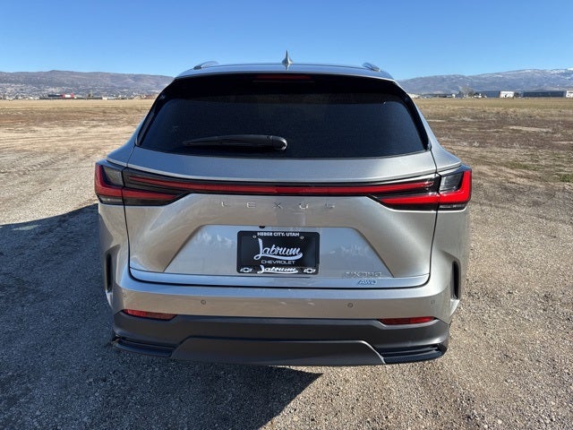 2024 Lexus NX 350 Premium