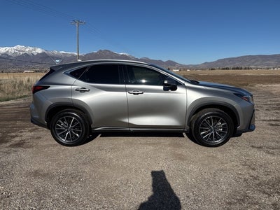 2024 Lexus NX 350 Premium