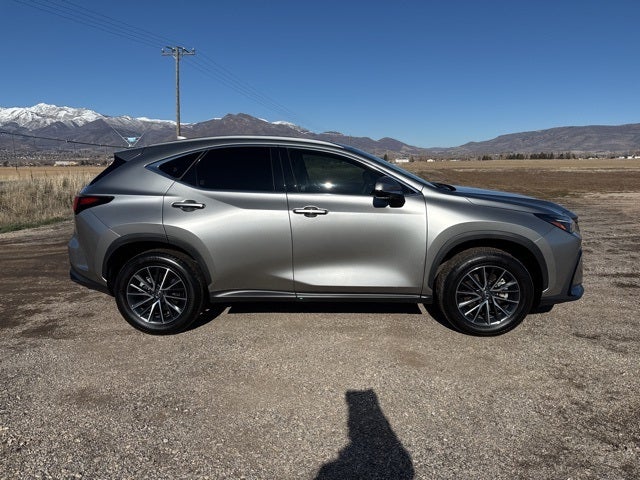 2024 Lexus NX 350 Premium